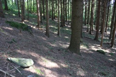 Affoltern Bernhau Steinkreis - PID:231404 Affoltern Bernhau Steinkreis - PID:231404