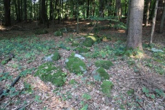 Hedingen Müliberg Neuguet Nord