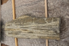 Aranno Lepontische Stelen