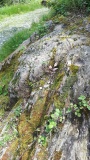 Gambarogno-Magadino “Strada Romana”