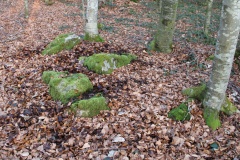Rifferswil Brüggenweid Steinsetzung