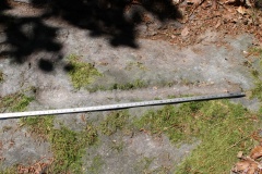 Burgdorf Pleerwald