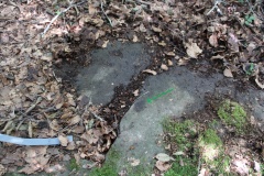 Nennigkofen Schalenstein