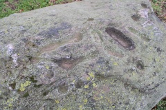 Luterhölzli Schalenstein