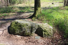 Dotzigeberg Schalenstein