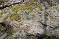 Dotzigeberg Schalenstein