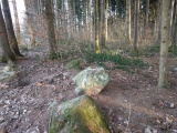 Wildentalholz Steinreihe - PID:192550