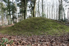 Fornholz Grabhügel