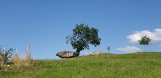 Grossegg Druidenstein - PID:253627
