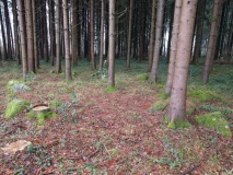 Steinkreis auf dem Homberg