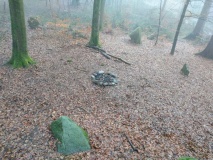 Althau Menhirs