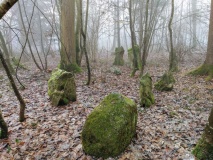 Althau Menhirs