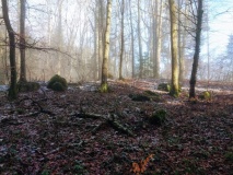 Bonstetten Schladhau Cromlech