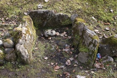 Niederholz Grabhügel