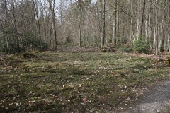 Niederholz Grabhügel