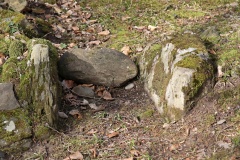 Niederholz Grabhügel