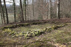 Niederholz Grabhügel
