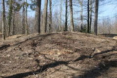 Zigiholz Grabhügel