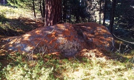 Pontresina Dolmen 1 - PID:114591 Pontresina Dolmen 1 - PID:114591