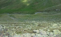 Alp Languard  - PID:114594