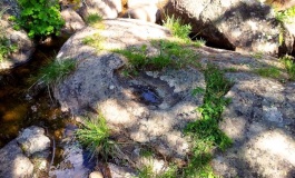 Quern stone? Celerina - PID:115408 Quern stone? Celerina - PID:115408