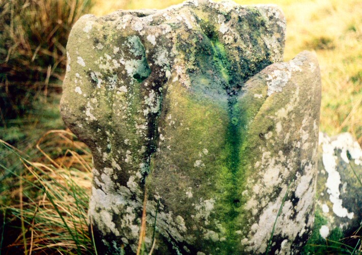 Eroded and encrusted carved stone among the uprights of a small and remote Northumbrian stone circle.