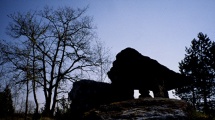 Dolmen de Peyrelevade (Paussac) - PID:15232