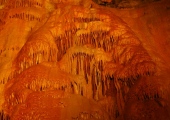 Gough's Cave (Cheddar) - PID:14794