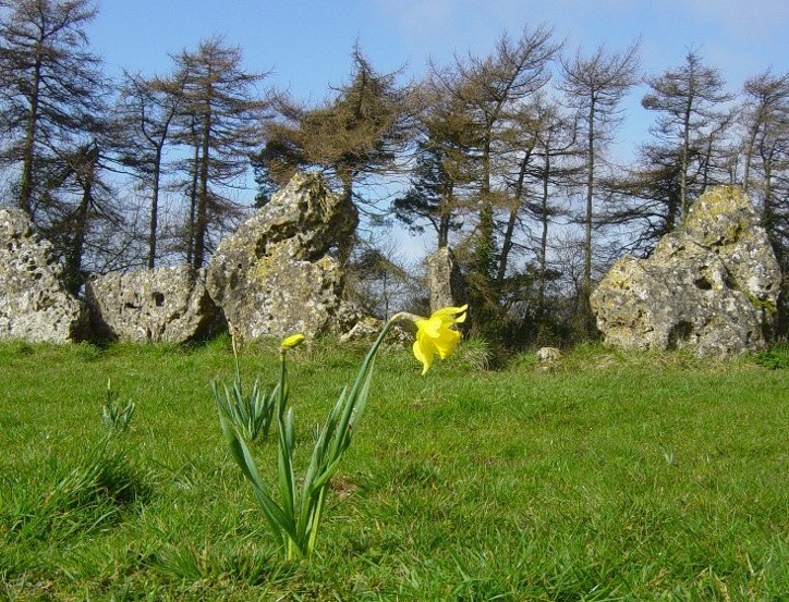 Rollright Stones