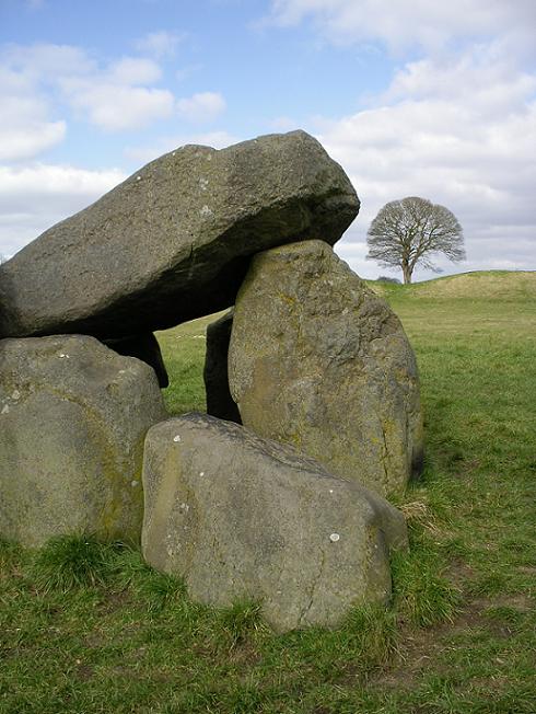 This one of Irish megaliths - a prehistoric portal tomb. Location: South Belfast (Co. Down).