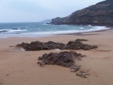 jersey beach - PID:20015