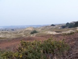 Sand Dunes Jersey - PID:19974