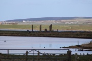 Stenness  - PID:275356