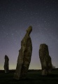 Lundin links Standing stones - PID:222985