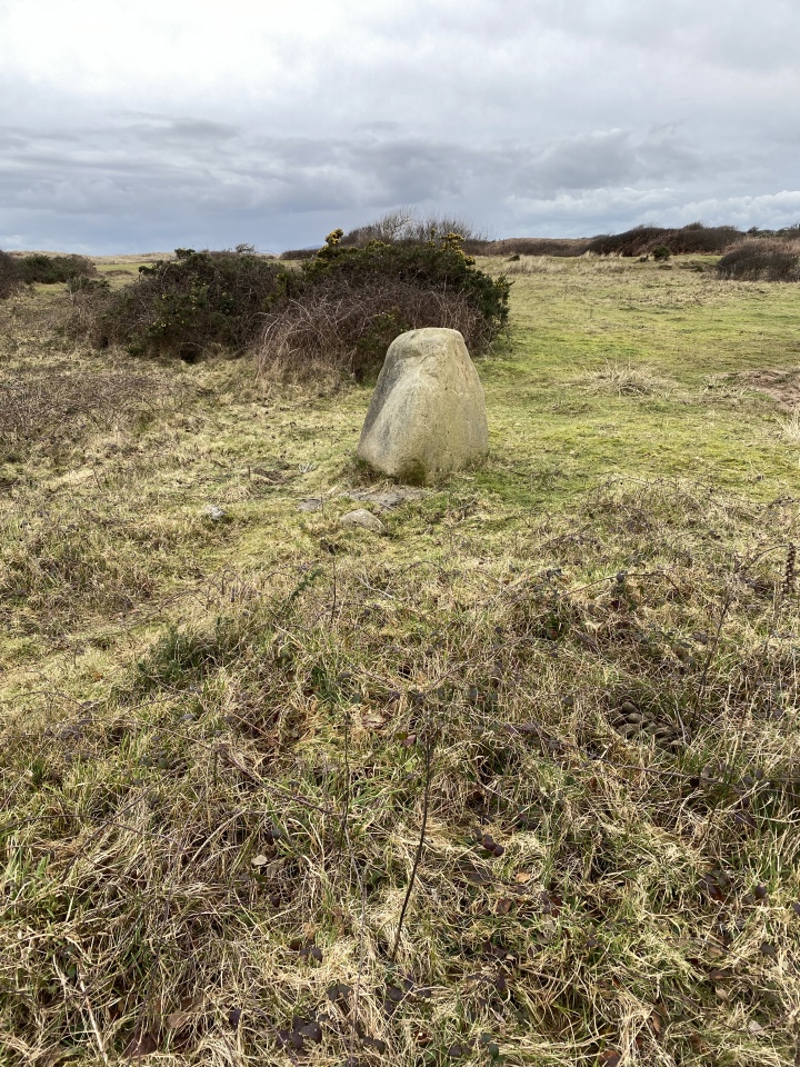 Click for the gallery page to add comments and vote (PID:303595) Penychain Headland Standing Stone