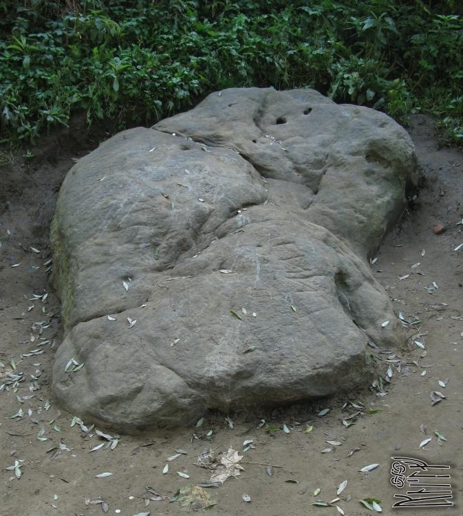 Click for full size image of The Goose Stone (PID:122045) The Goose Stone
