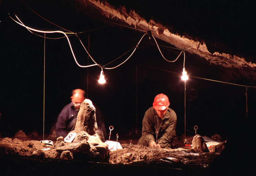 The site had to be carefully excavated over several field seasons. This image, taken in 2000, shows Peter Leach and Tim Kaiser excavating around the stalagmite

Image copyright Staso Forenbaher

Site in  Croatia

