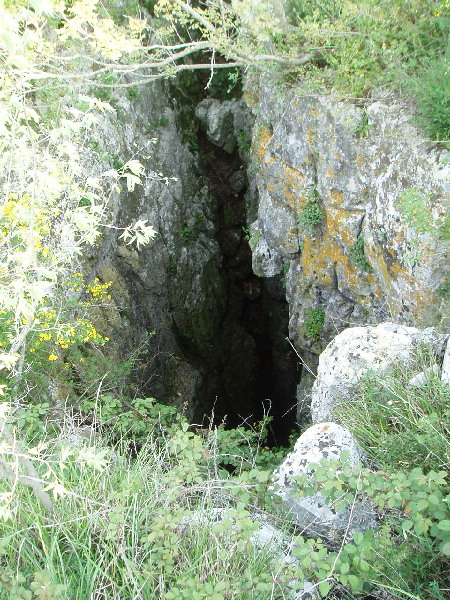 Monkodonja Cave

Just outside of the northern secondary entrance to the Bronze Age Monkodonja Hillfort, ther is this deep vertical cave.

Archelogists dug out about 15 cubic meters of material to a depth of 50 meters and found the beginnings of a passage towards the center of the Hillfort. It is thought that ceremonies might have taken place in this 