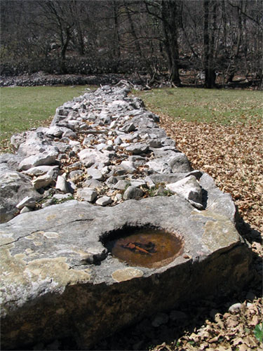 Manmade well sunk into low drystone wall in meadow. Found in forest of Tramuntana, on the island of Cres, Croatia. Nearest village is Beli.