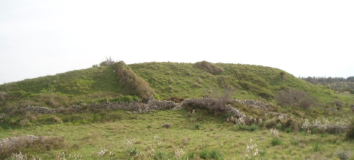 Venac Hillfort

From a Distance. This Bronze Age Hillfort of the Liburni Illyrians is unusual as it is one of the few in Croatia to be made out of a natural hill, with terraces and loose material for the main defensive wall seen here, which faces the plateau behind the fort. There is a serives of Tumuli behind the Hillfort, unfortunately all plundered by a local farmer in the 70's.