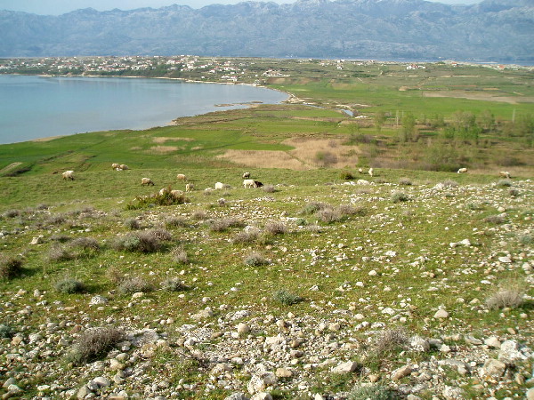 Venac Hillfort