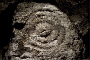 Beli Wall Petroglyph - PID:24486