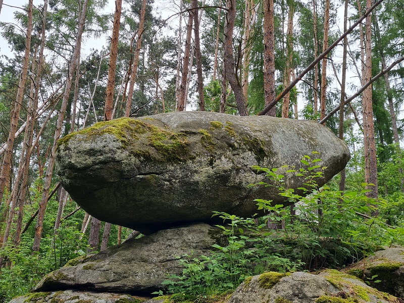 Logan Stone Vindiš (PID:258425) Logan Stone Vindiš