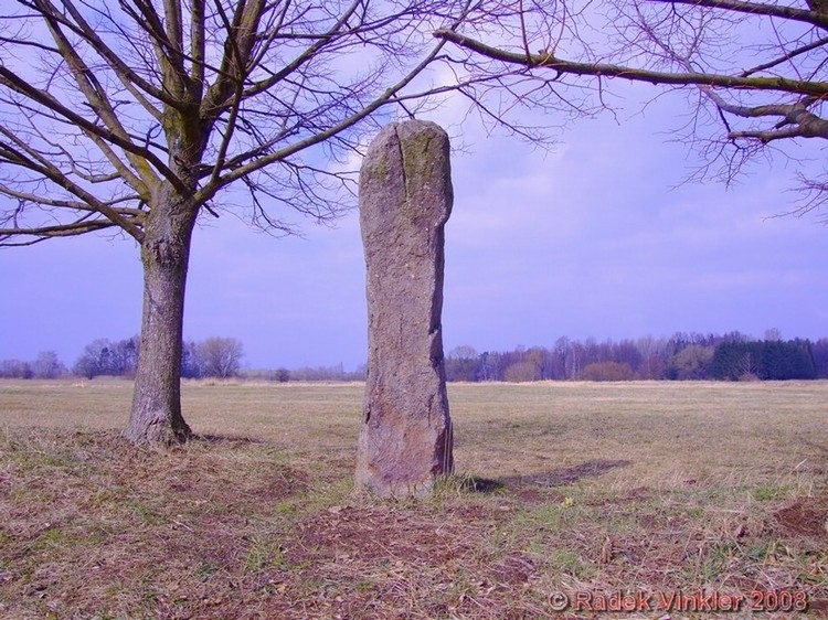 Zbudov Menhirs