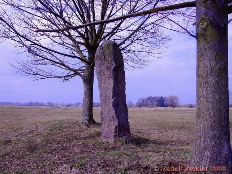 Zbudov Menhirs