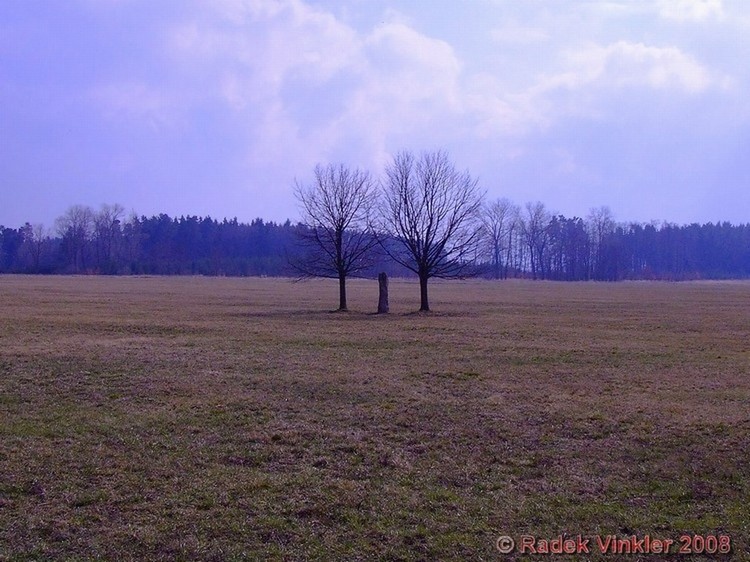 Zbudov Menhirs