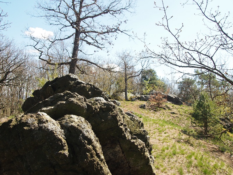The Big Rock