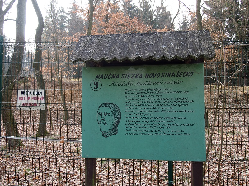 Mšecké Žehrovice Viereckschanze