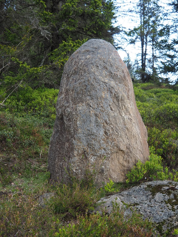 Click for full size image of Roklansky Creek Menhir (PID:255362) Roklansky Creek Menhir