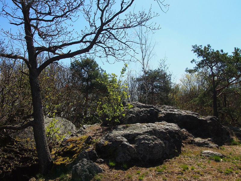 The Big Rock